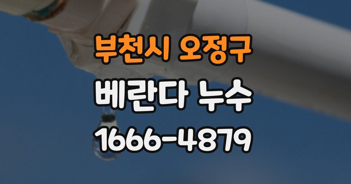 부천시 오정구 베란다 누수
