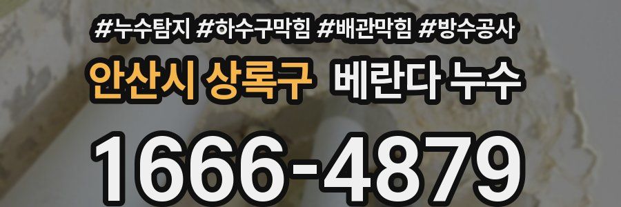 안산시 상록구 베란다 누수