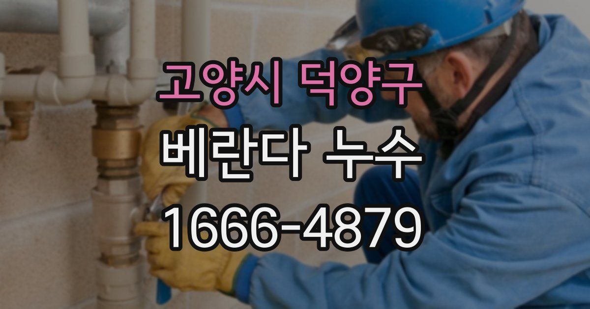 고양시 덕양구 베란다 누수