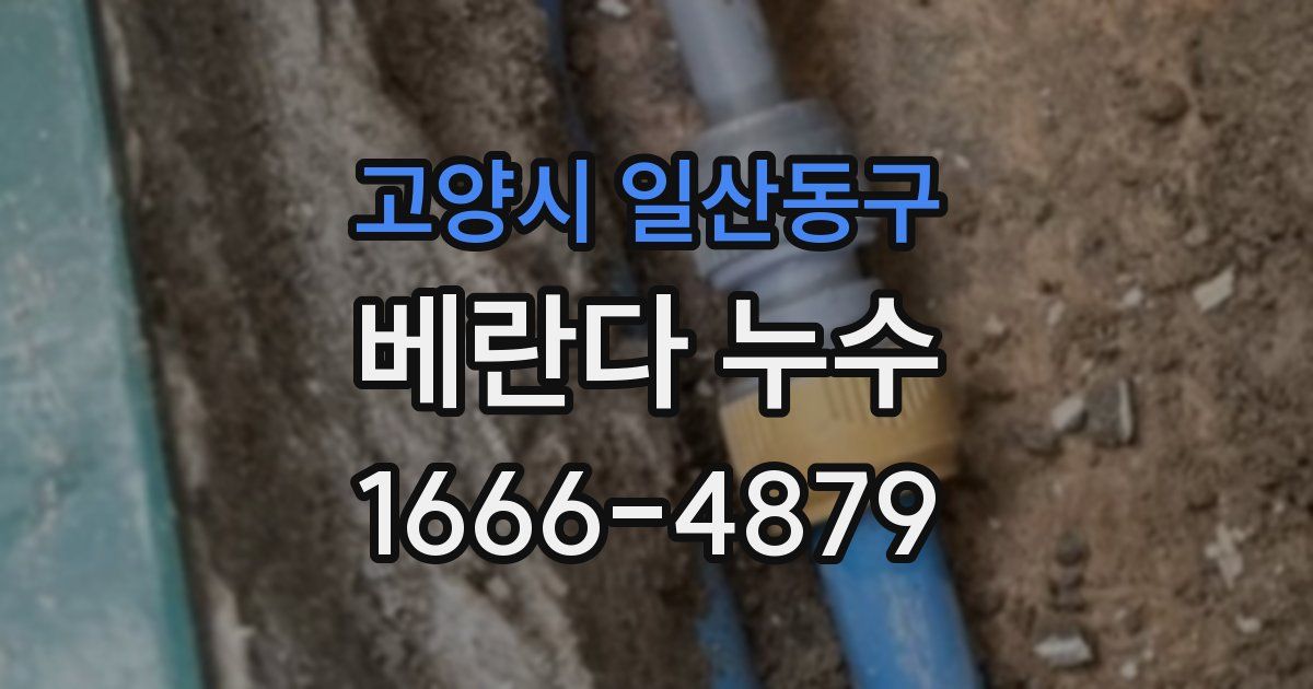 고양시 일산동구 베란다 누수
