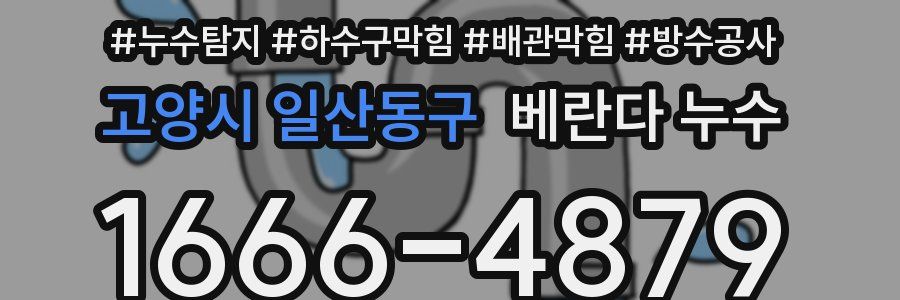 고양시 일산동구 베란다 누수