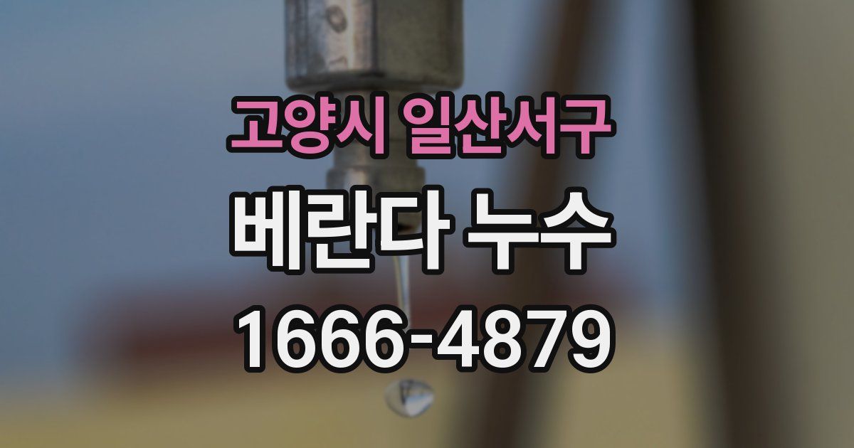 고양시 일산서구 베란다 누수