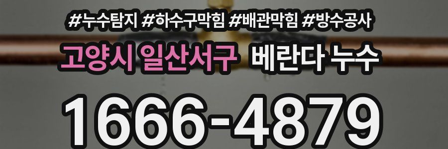 고양시 일산서구 베란다 누수