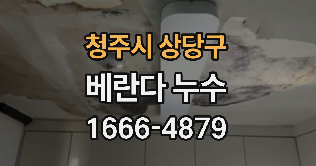 청주시 상당구 베란다 누수