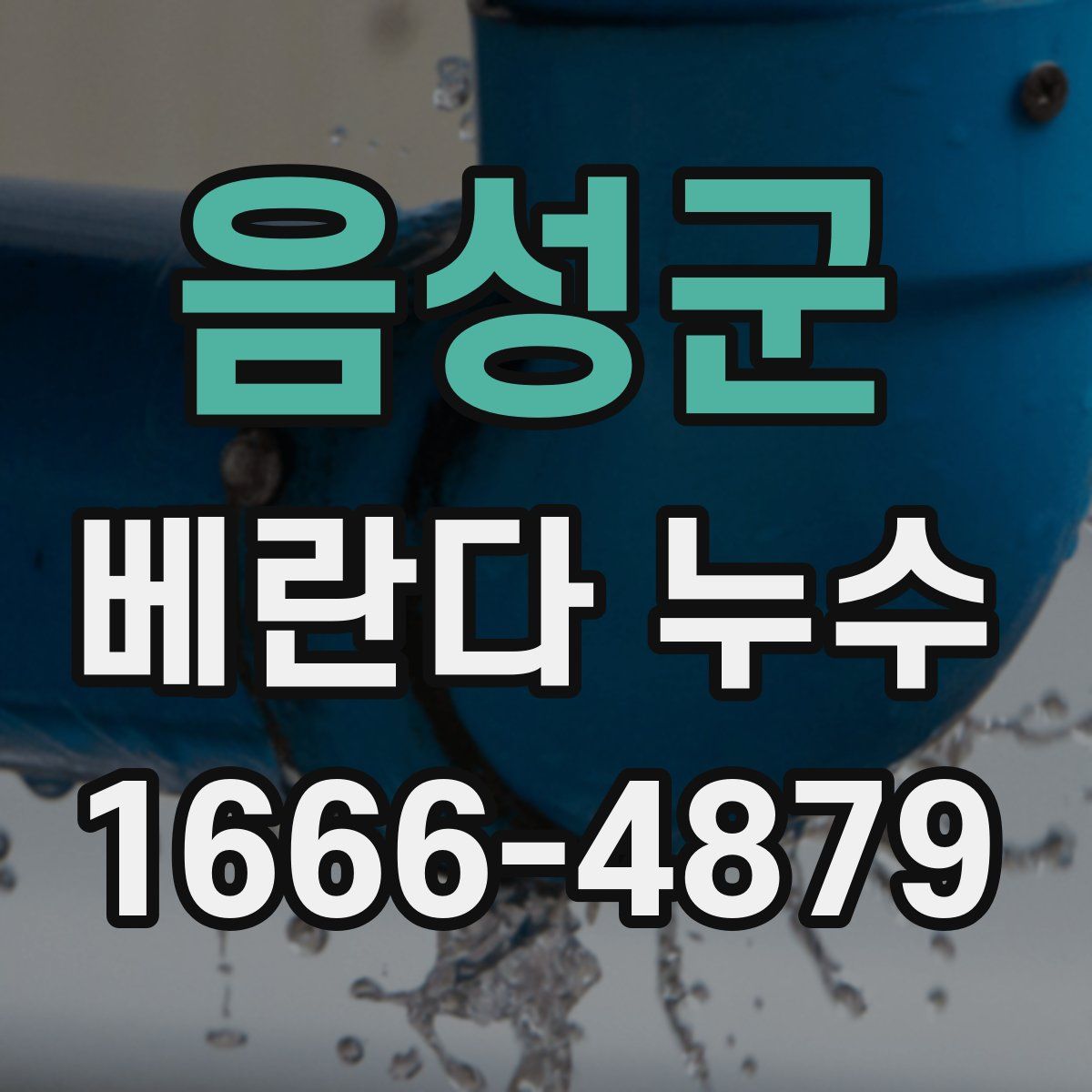 음성군 베란다 누수