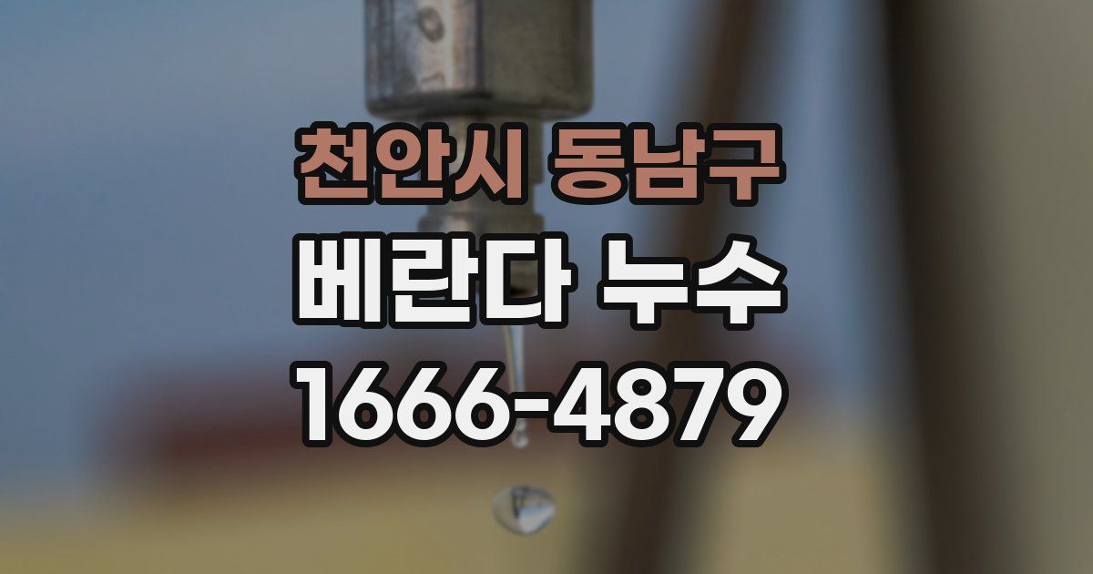 천안시 동남구 베란다 누수