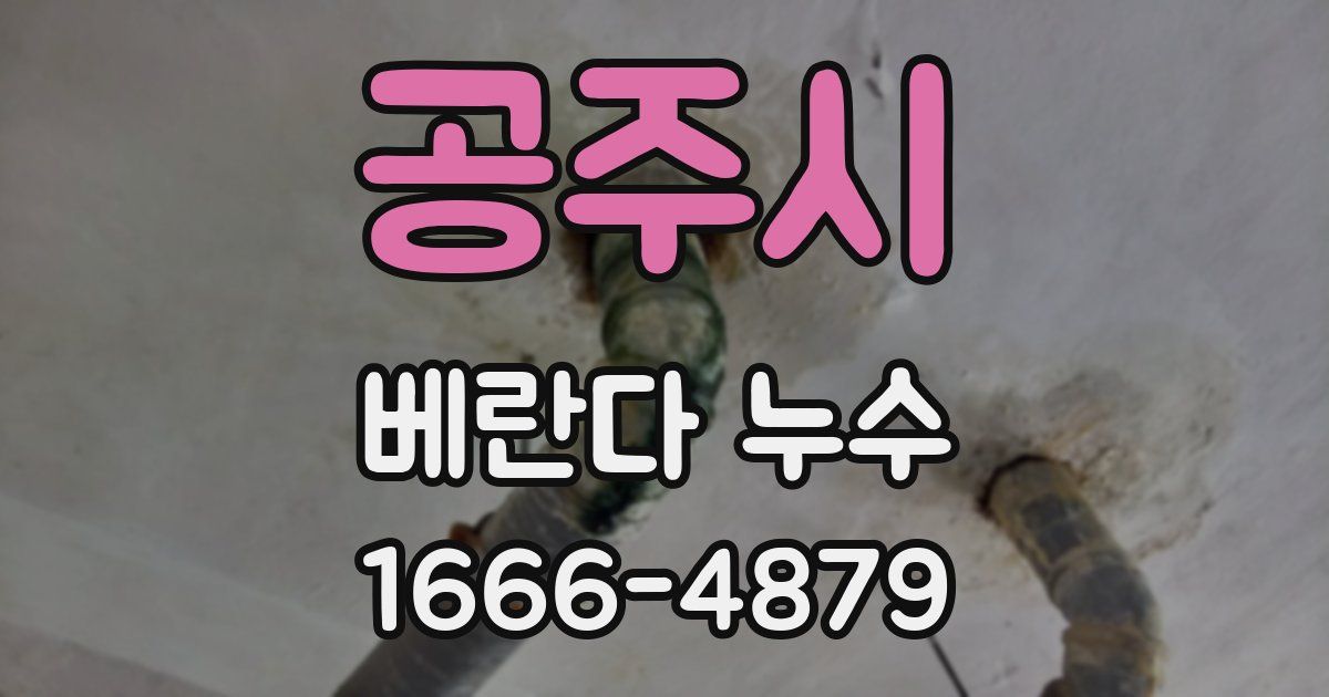 공주시 베란다 누수