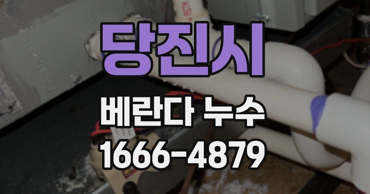 당진시 베란다 누수