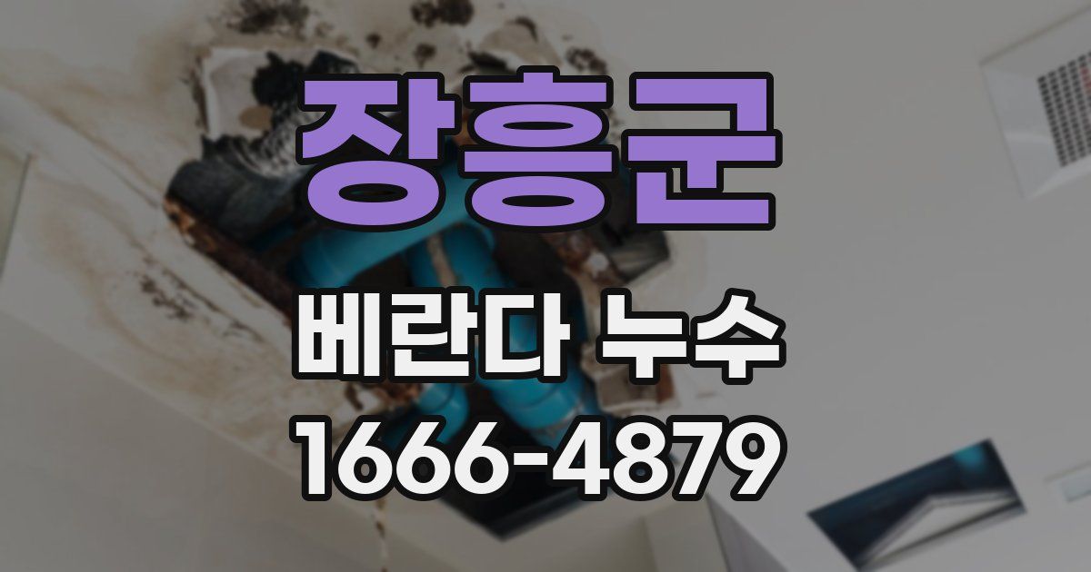 장흥군 베란다 누수