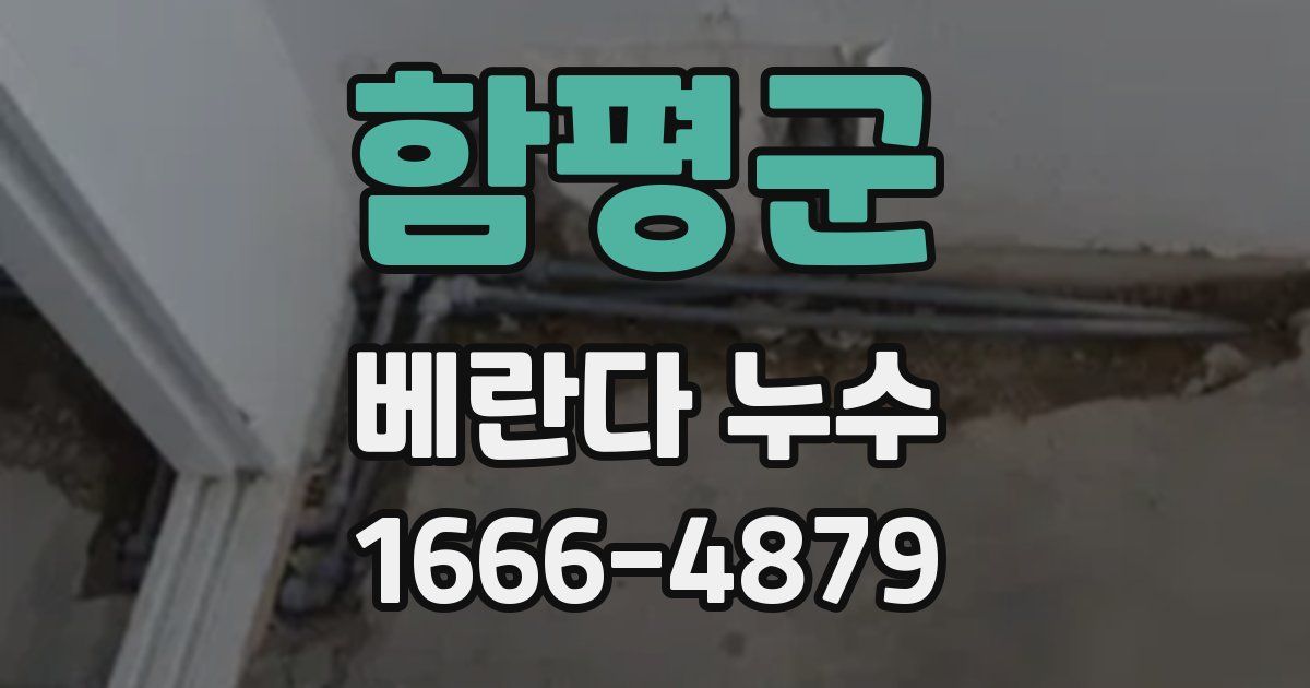 함평군 베란다 누수