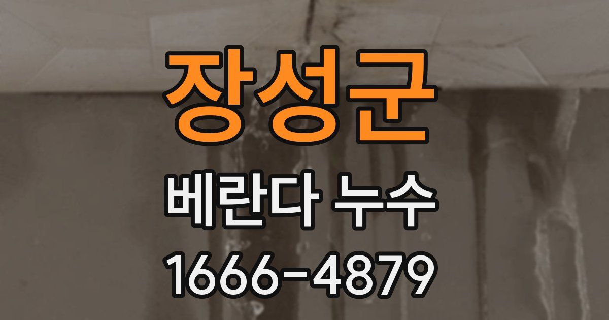 장성군 베란다 누수