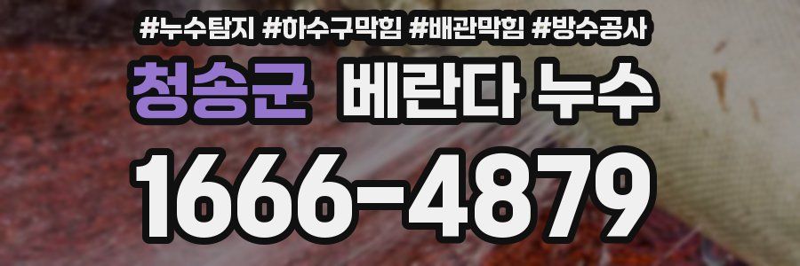 청송군 베란다 누수