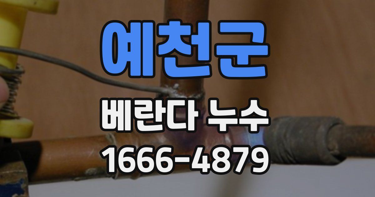 예천군 베란다 누수
