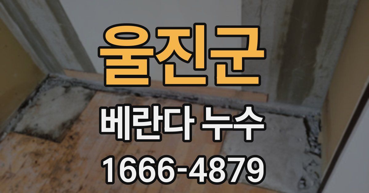 울진군 베란다 누수