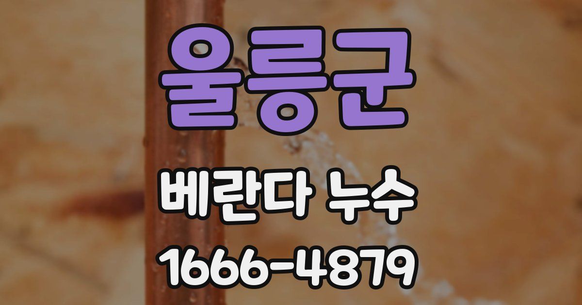 울릉군 베란다 누수