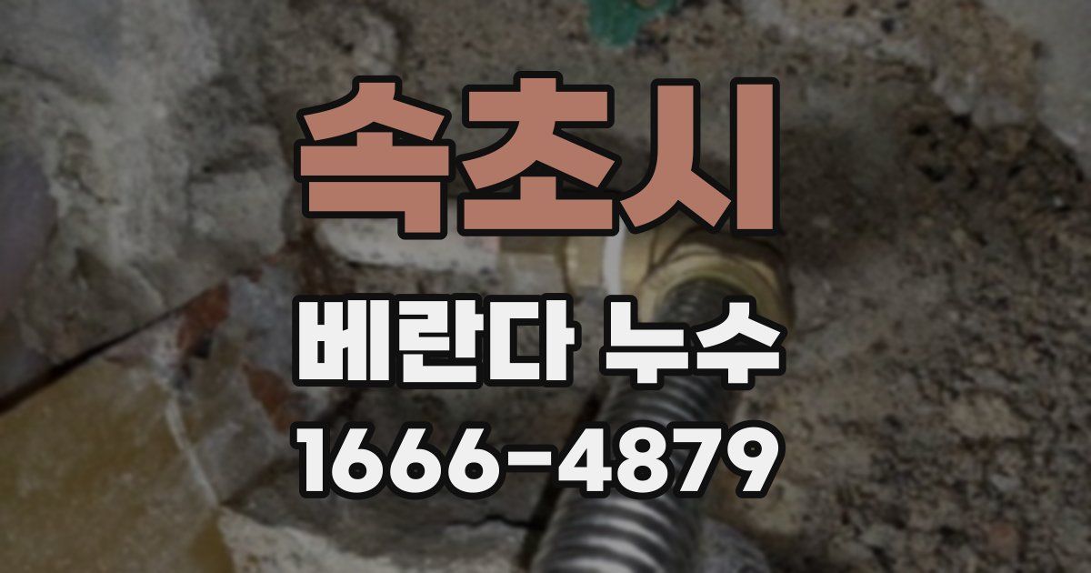 속초시 베란다 누수
