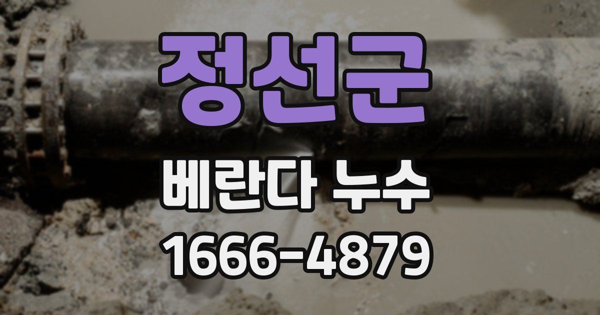 정선군 베란다 누수