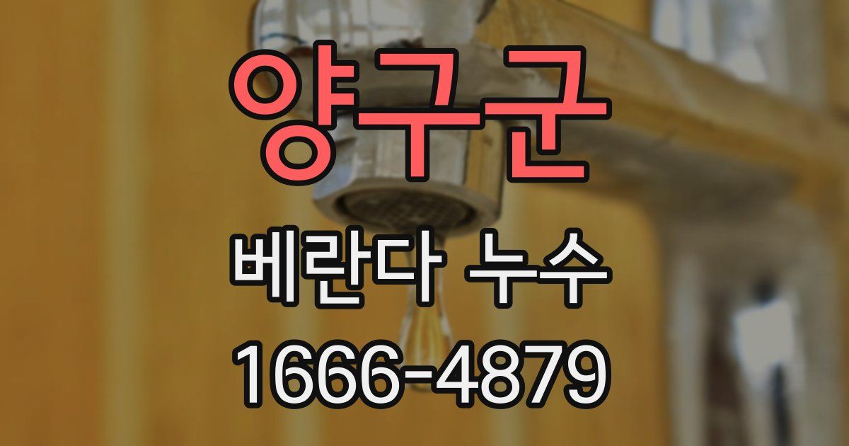 양구군 베란다 누수