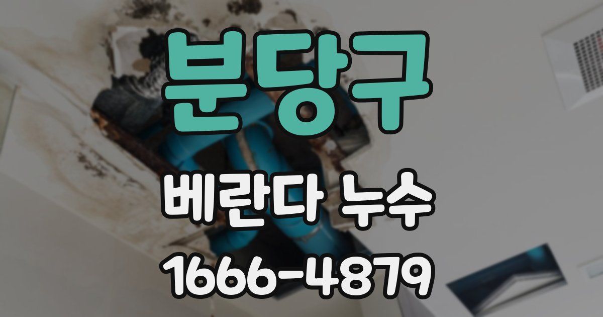 분당구 베란다 누수