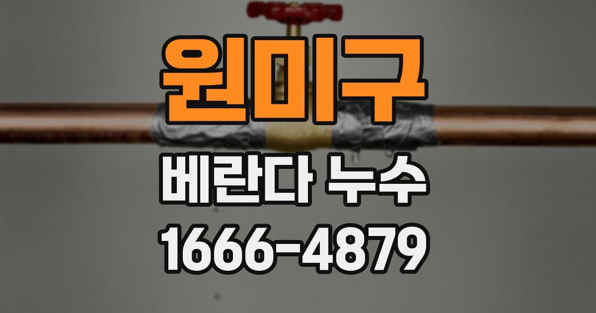 원미구 베란다 누수