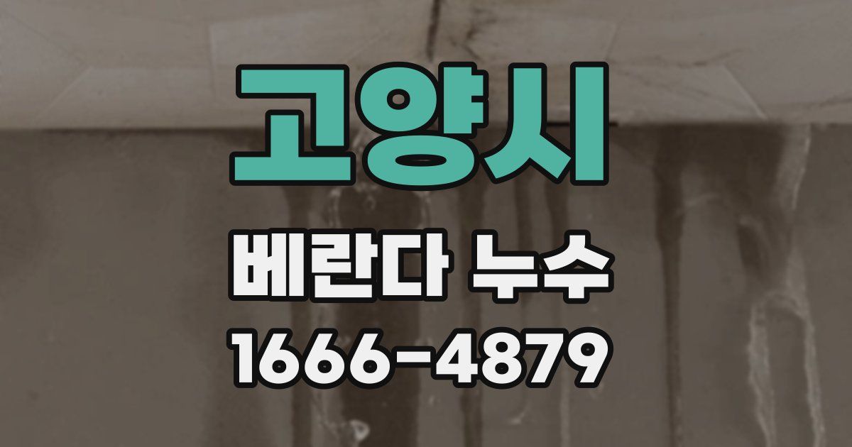 고양시 베란다 누수