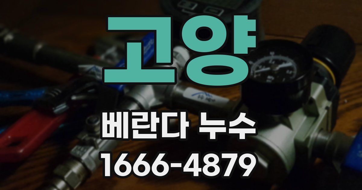 고양 베란다 누수