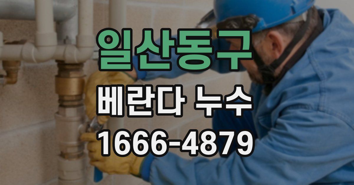 일산동구 베란다 누수