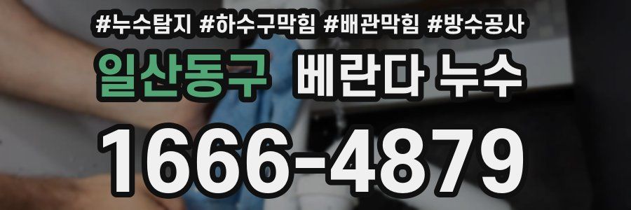 일산동구 베란다 누수