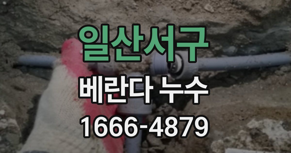 일산서구 베란다 누수