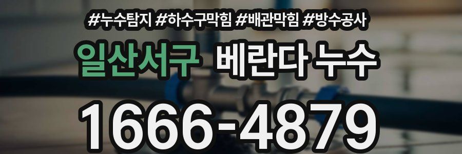 일산서구 베란다 누수