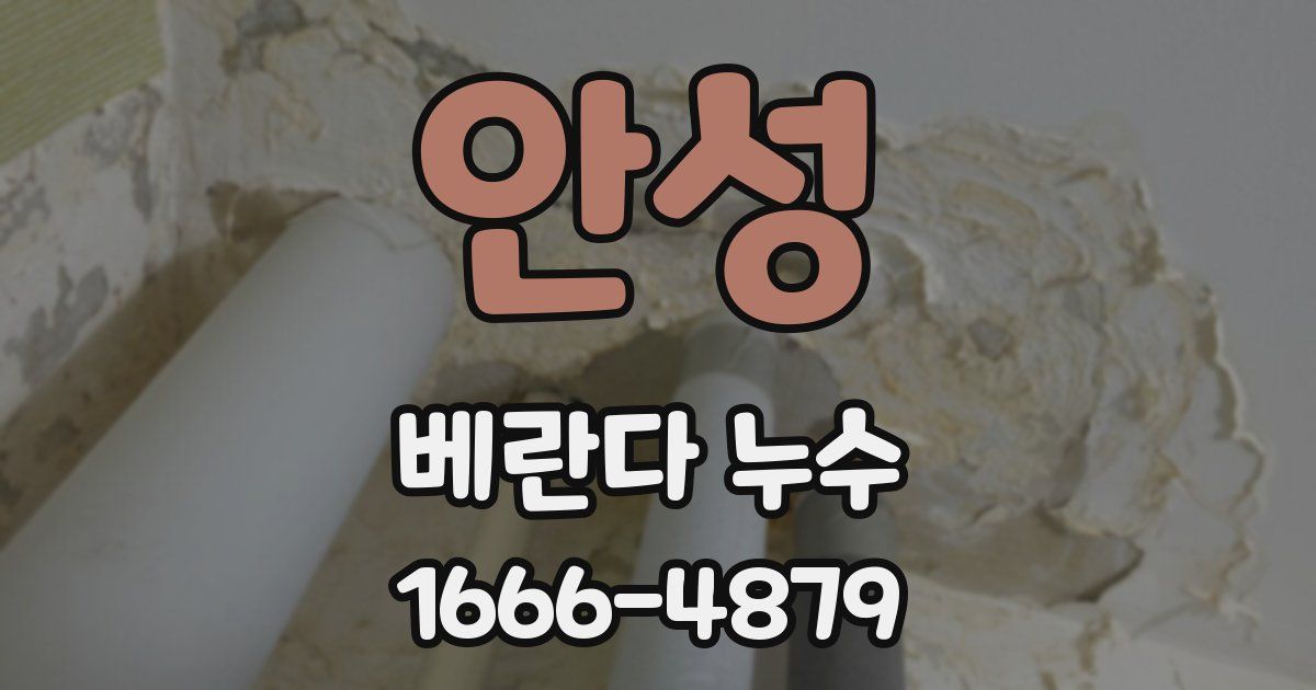 안성 베란다 누수