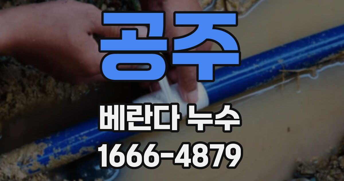 공주 베란다 누수