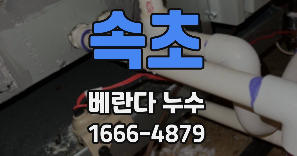 속초 베란다 누수