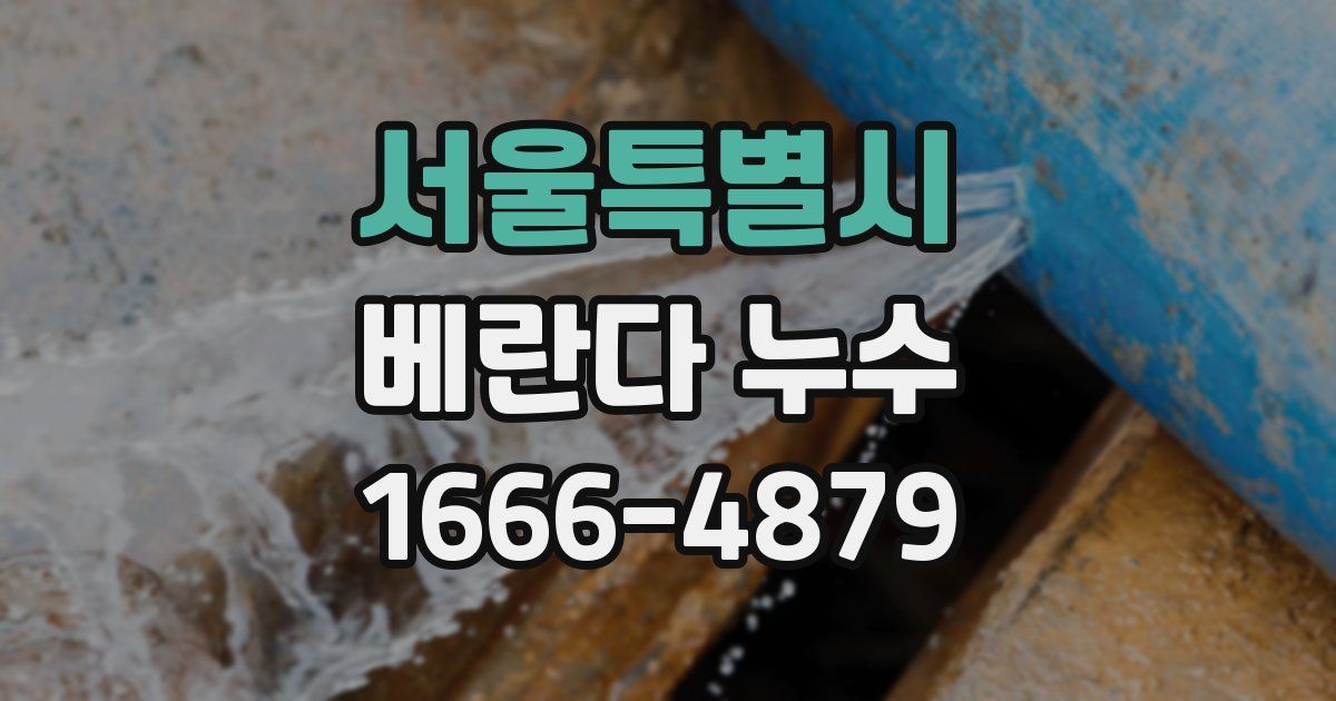 서울특별시 베란다 누수