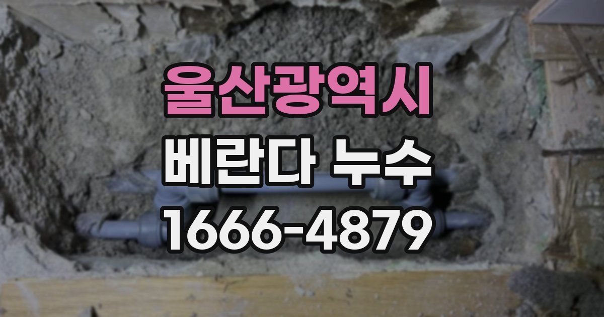 울산광역시 베란다 누수