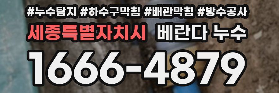 세종특별자치시 베란다 누수