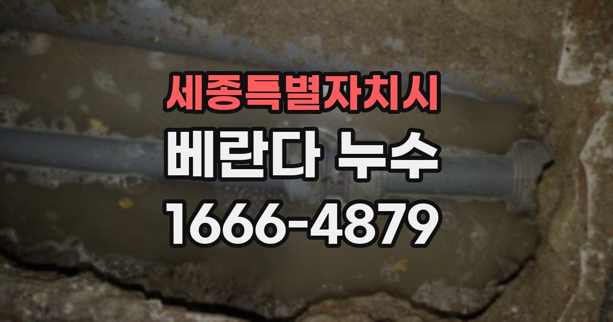 세종특별자치시 베란다 누수