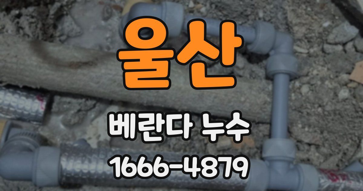 울산 베란다 누수