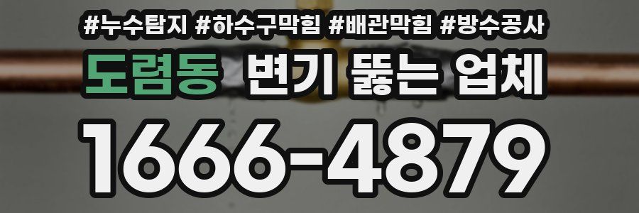 도렴동 변기 뚫는 업체