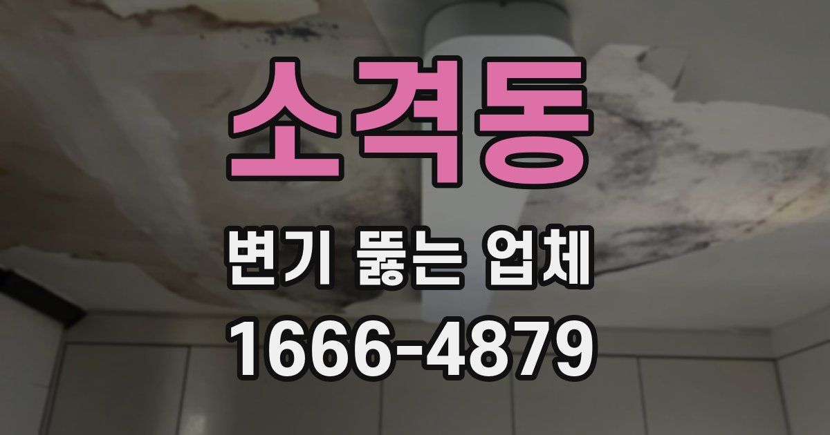 소격동 변기 뚫는 업체