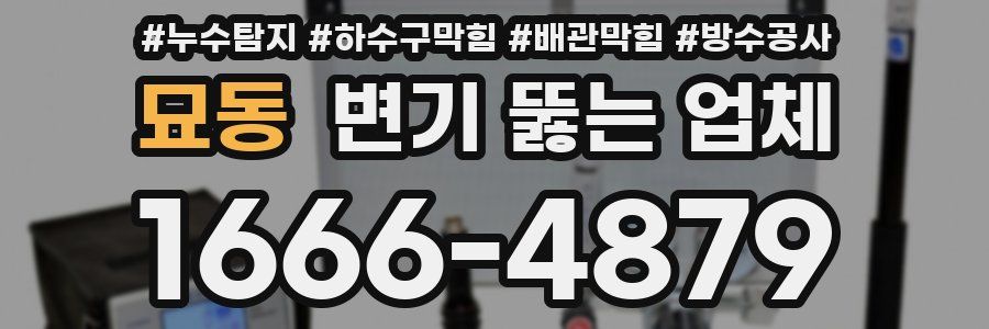 묘동 변기 뚫는 업체