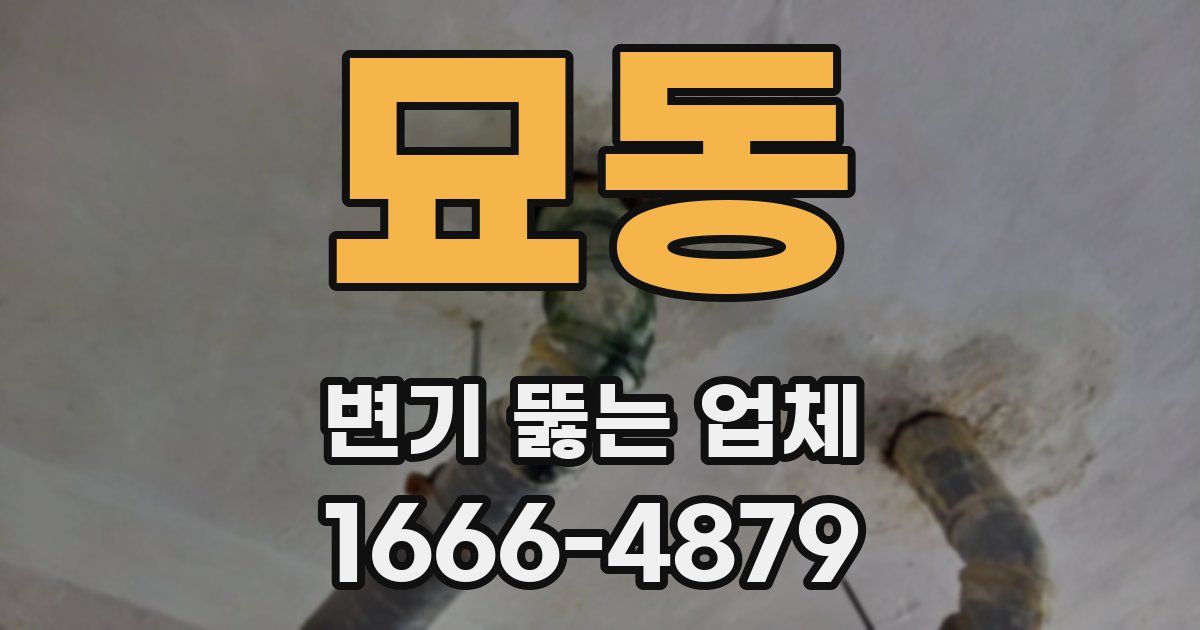 묘동 변기 뚫는 업체