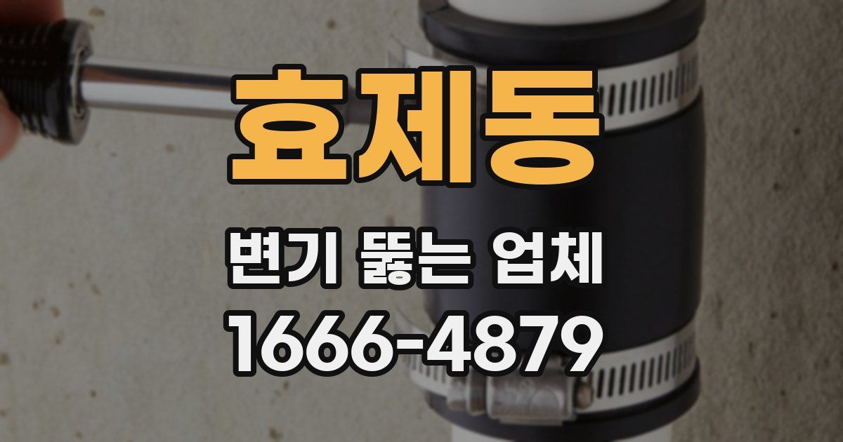 효제동 변기 뚫는 업체