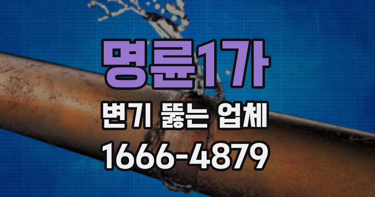 명륜1가 변기 뚫는 업체