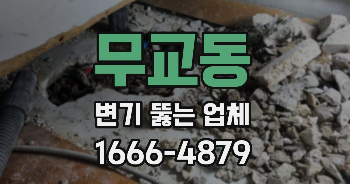 무교동 변기 뚫는 업체