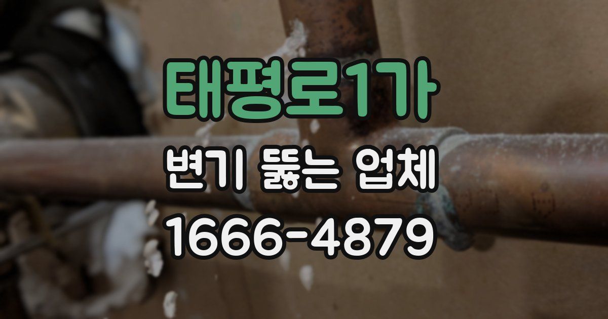 태평로1가 변기 뚫는 업체