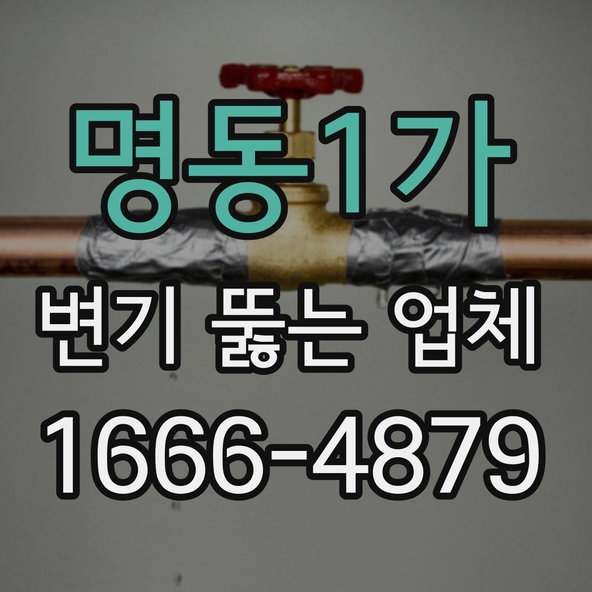명동1가 변기 뚫는 업체