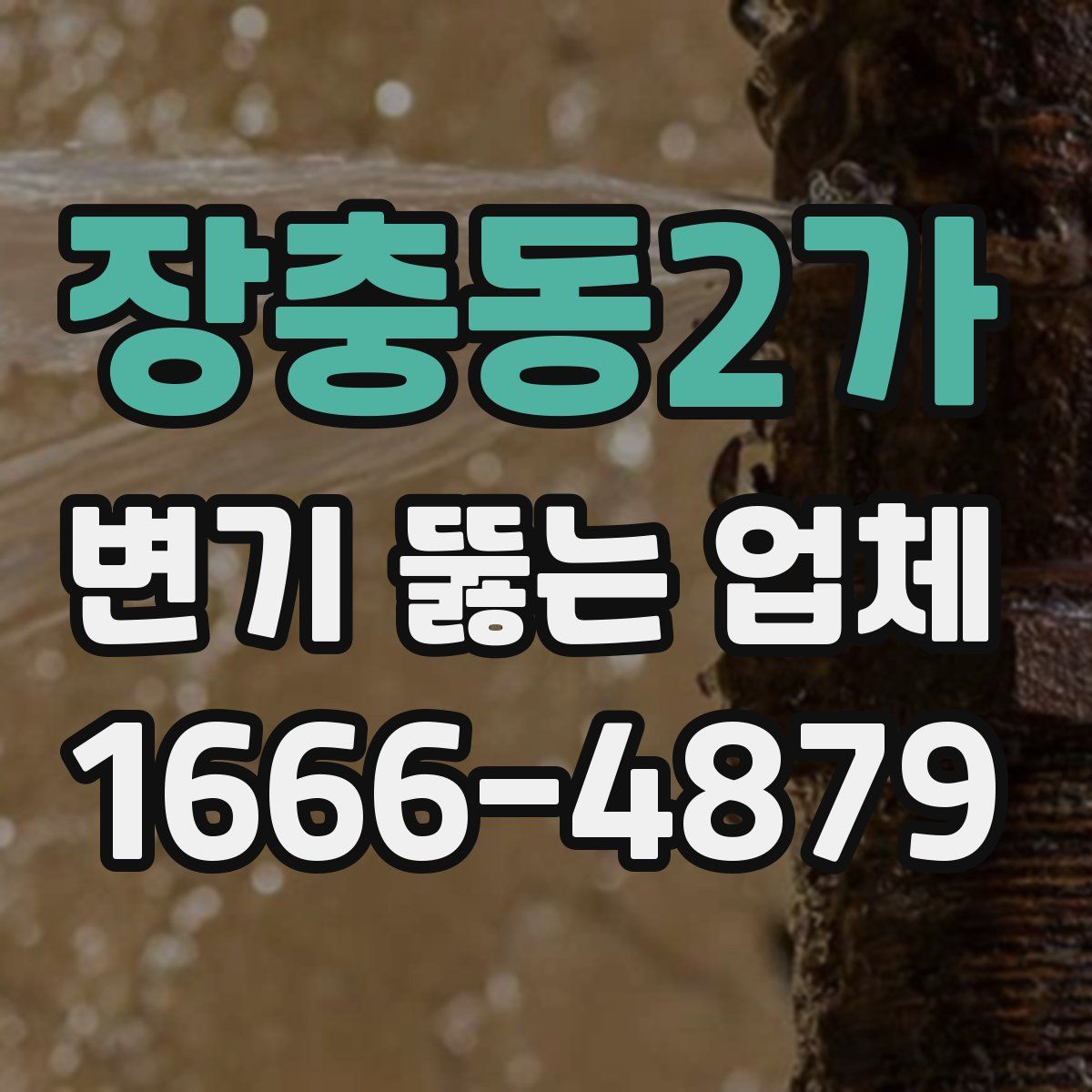 장충동2가 변기 뚫는 업체