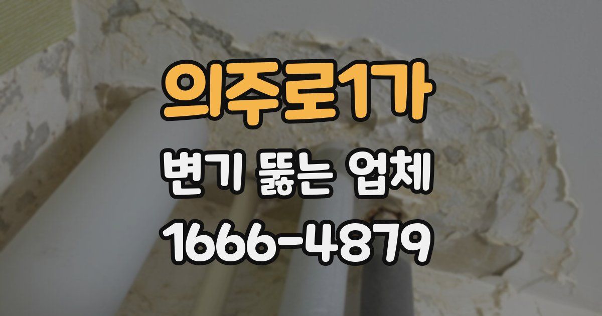 의주로1가 변기 뚫는 업체