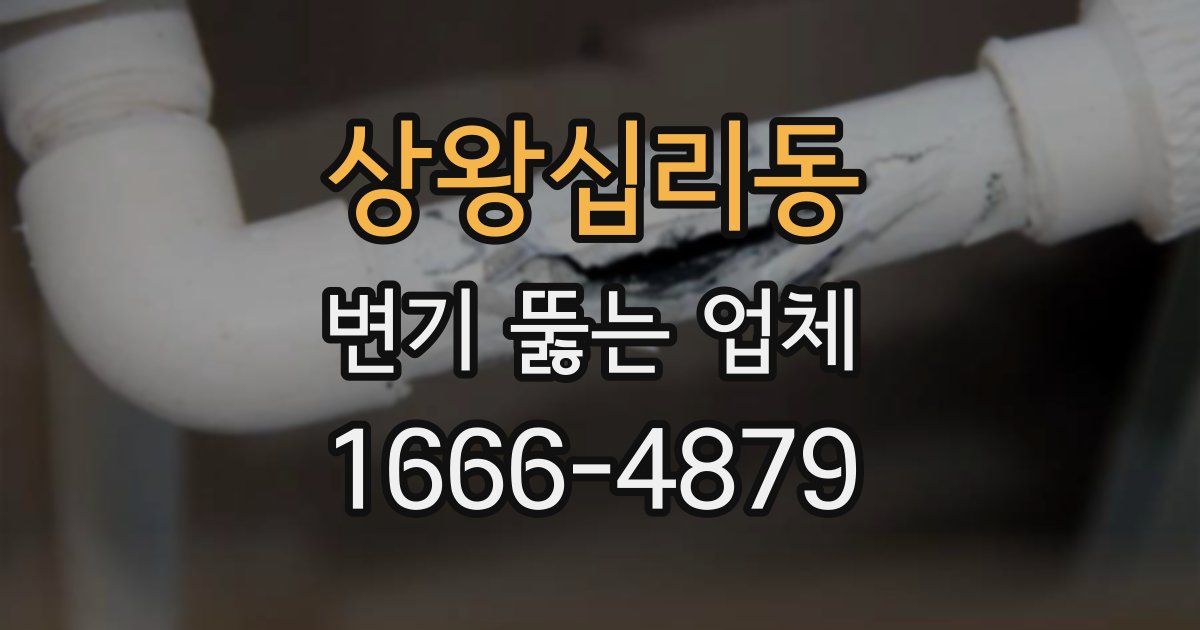 상왕십리동 변기 뚫는 업체